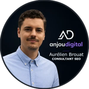 consultant seo Aurélien Brouat